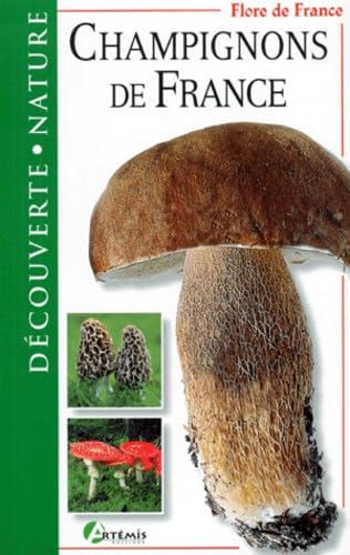 Champignons de France