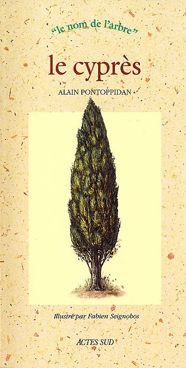 Le cyprès