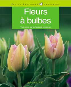 Fleurs à bulbes