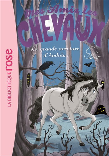 Mes amis les chevaux. Vol. 21. La grande aventure d'Andalou