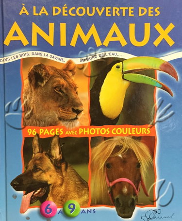 Couverture de Legende et réalité sur le triangle des Bermudes