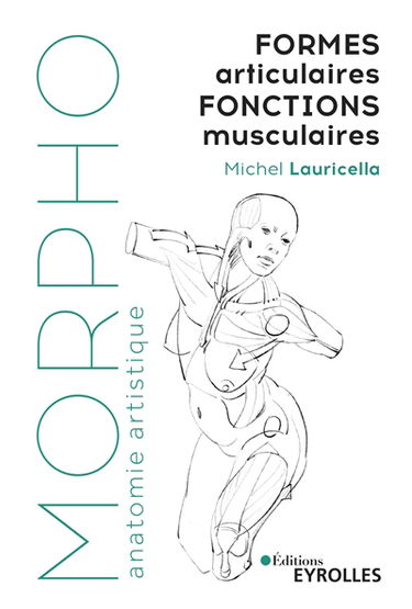 Formes articulaires, fonctions musculaires
