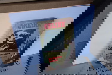 Céline (Les Dossiers Belfond)