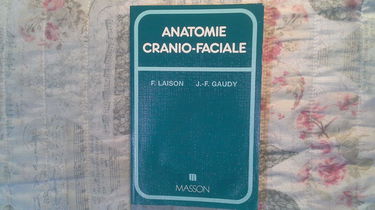 Anatomie crâno-faciale