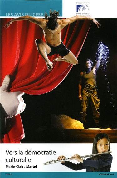 Vers la démocratie culturelle : mandature 2015-2020, séance du 15 novembre 2017