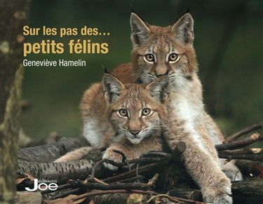 Sur les pas des petits félins