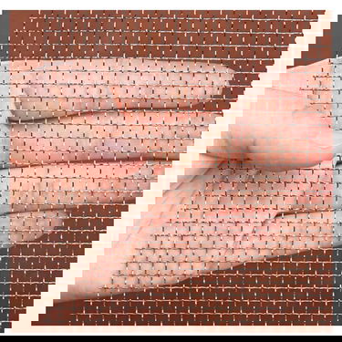 La bible, une pomme de discorde / un livre unique, differents chemins d'approche / un debat theologi