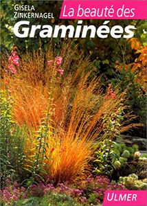 La beauté des graminées