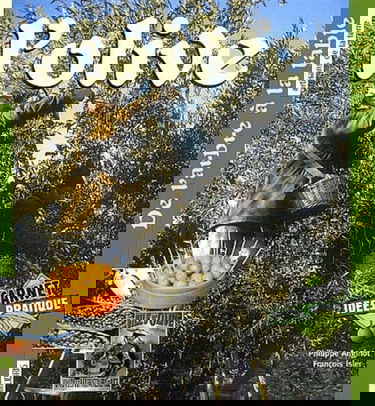 L'Olive : De l'arbre au moulin