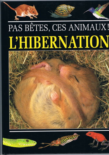 Couverture de L'Hibernation