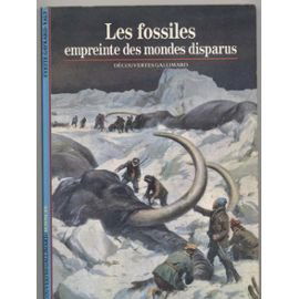 LES FOSSILES, EMPREINTE DES MONDES DISPARUS