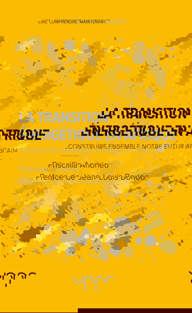 La transition énergétique en Afrique: Construire ensemble notre futur africain