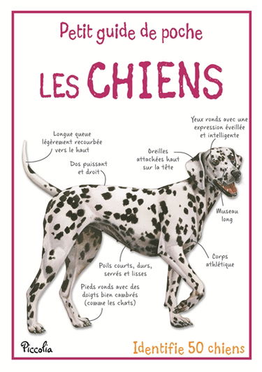 Les chiens : identifie 50 chiens