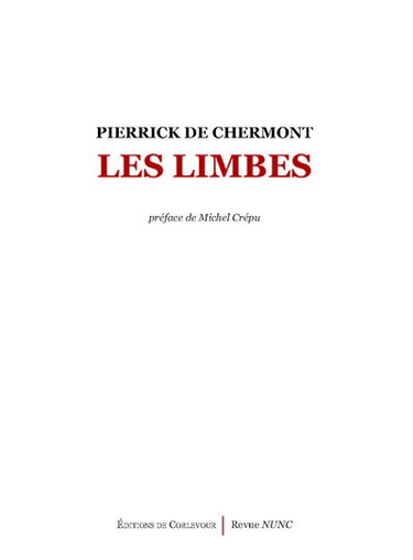 Couverture de Les limbes : tenir jusqu'à être homme : récit