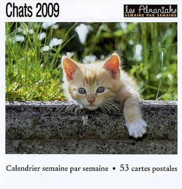 Chats 2009 : calendrier semaine par semaine : 53 cartes postales