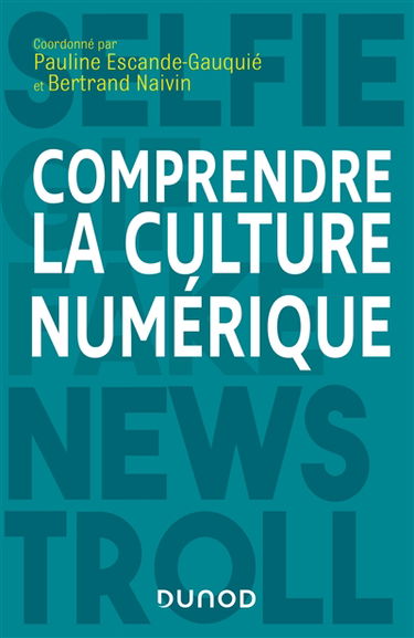 Comprendre la culture numérique