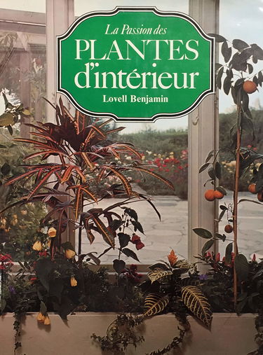 Les Plantes D'Interieur