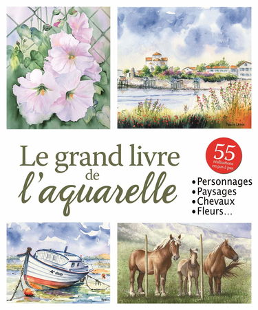 Le grand livre de l'aquarelle (0)
