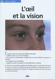 L'oeil et la vision