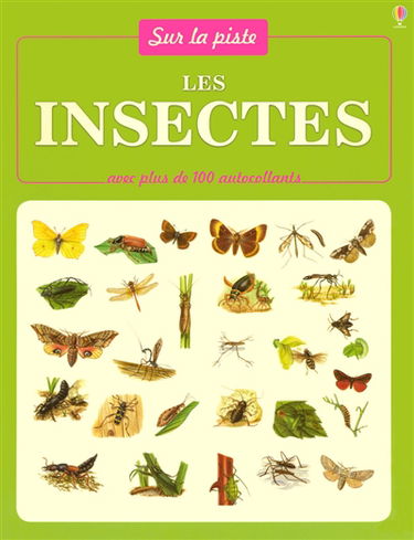 Les insectes