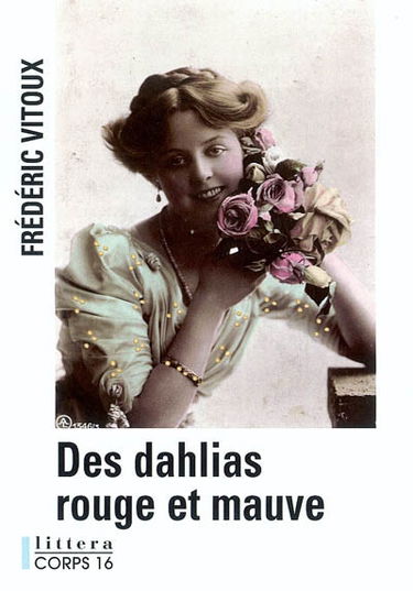 Des dahlias rouge et mauve