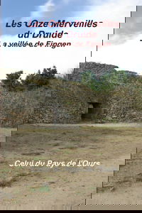 Les Onze Merveilles du Druide. La veillée de Fingen.