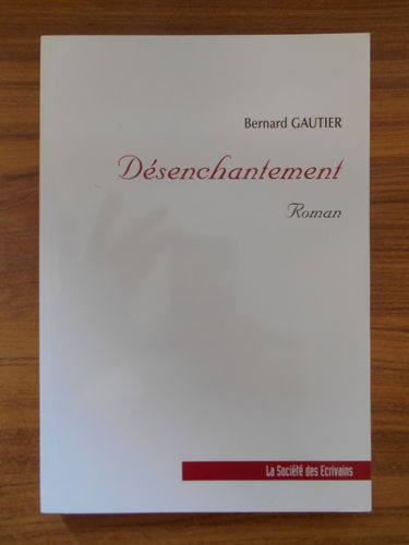 Désenchantement - roman