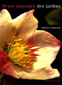 Fleurs sauvages des jardins