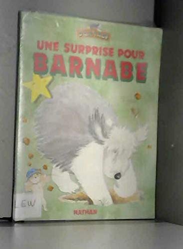 Une Surprise pour Barnabé