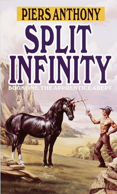 Couverture de Split Infinity