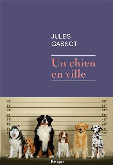 Un chien en ville