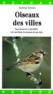 Les Oiseaux des villes