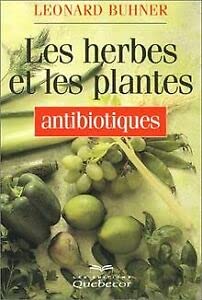 Les herbes et plantes antibiotiques
