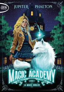 Magic academy. Vol. 1. La magie oubliée