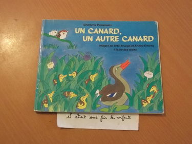 Un Canard, un autre canard