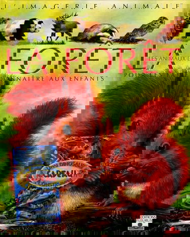 Les animaux de la forêt: Pour les faire connaître aux enfants