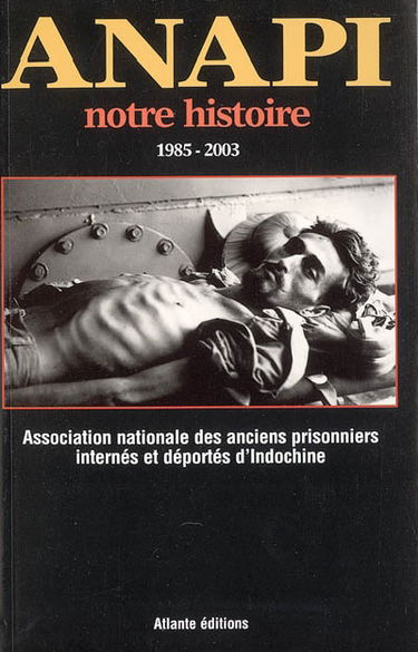ANAPI, notre histoire : 1985-2003