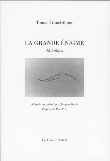 La grande énigme : 45 haïkus