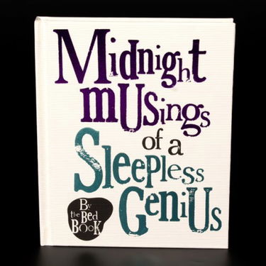 The Bright Side Notebook - Midnight Musings of a Sleepless Genius
