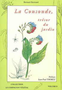 La consoude, trésor du jardin