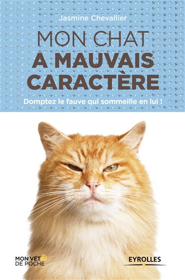 Mon chat a mauvais caractère : domptez le fauve qui sommeille en lui !