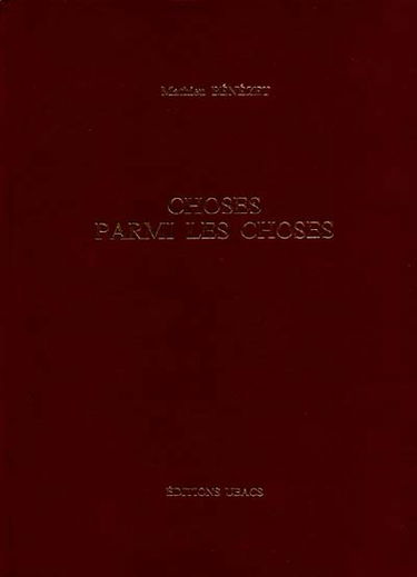 Choses parmi les choses : essai de voir