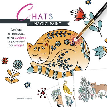 Chats : magic paint