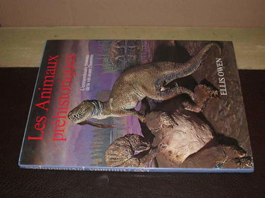 Les Animaux Préhistoriques - L'extraordinaire histoire De La Vie Avant L'homme