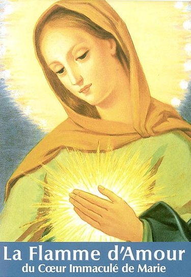 Couverture de La flamme d'amour du coeur immaculé de Marie : extraits du journal de la voyante, 1961-1981