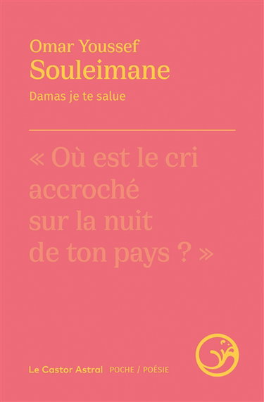 Couverture de Damas je te salue