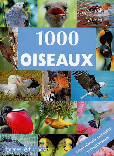 1.000 oiseaux
