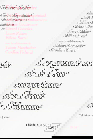 Les grands arrêts de la Cour européenne des droits de l'homme