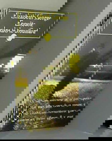 Enquête dans le brouillard