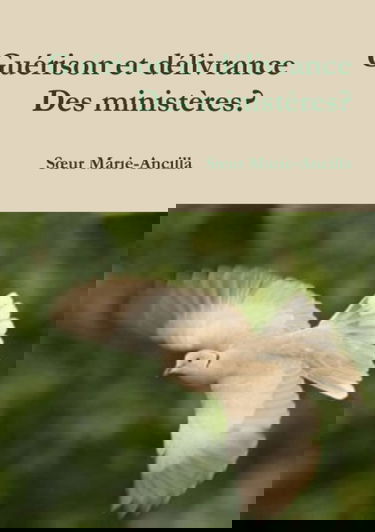 Guérison et délivrance. Des ministères?